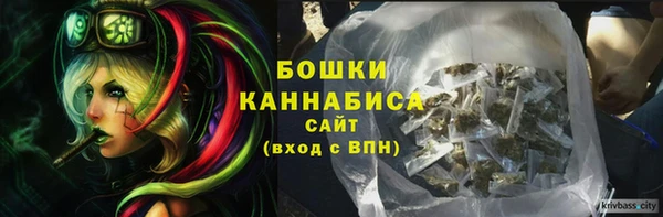эйфоретик Касимов