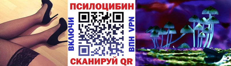 Псилоцибиновые грибы Cubensis  кракен ТОР  Пушкино  где купить наркоту 