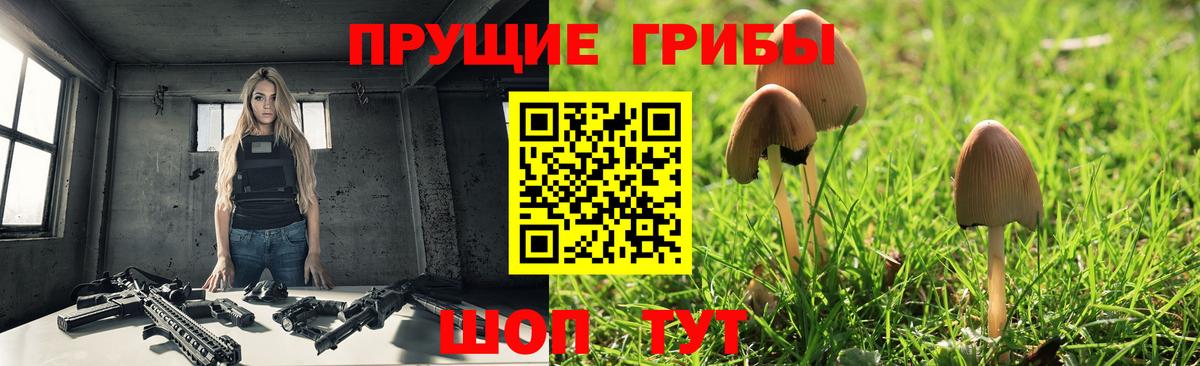 Пушкино  купить наркотики цена  Вход с VPN  Галлюциногенные грибы Cubensis 